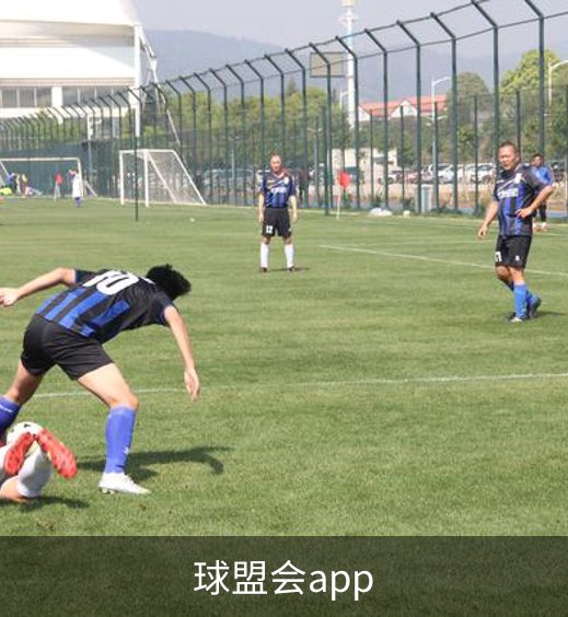 球盟会app介绍